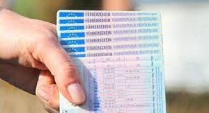 A1 Driver's License